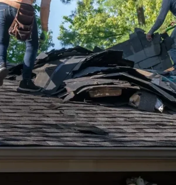 i - 2025-11-19T015636.124